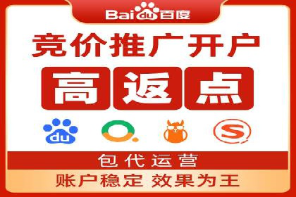 某品牌通过SEM优化实现品牌增长的故事